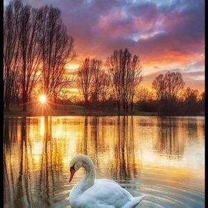 Meet your Posher, Martha